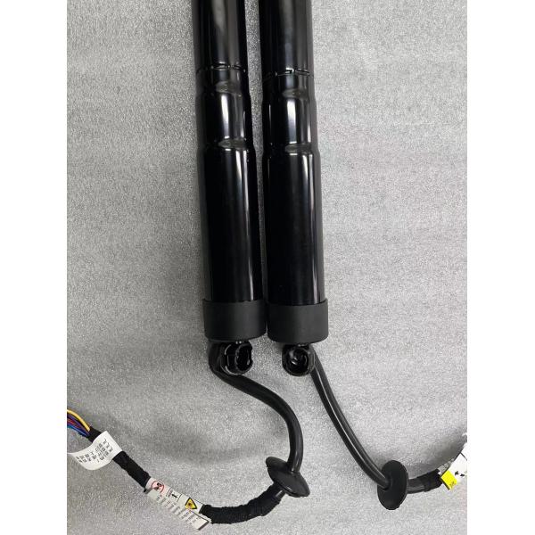 Electric Tailgate Gas Struts 81771-B8100 for Hyundai Santa 2.0L 2.4L Gas Spring