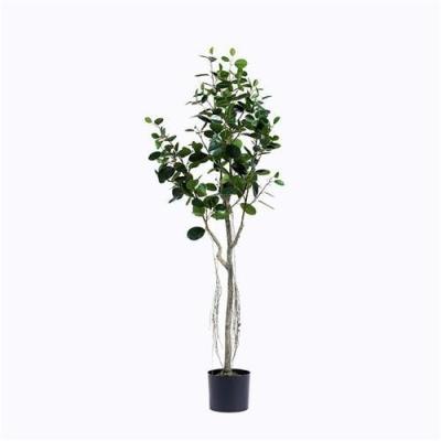 Árvore plástica de Microcarpa do ficus