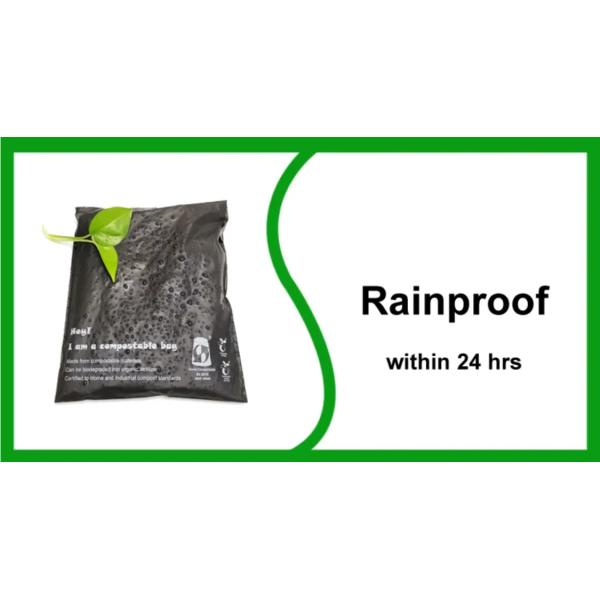 Tear Resistant Compostable Poly Bags Self Adhesive Plastic Courier Packaging Bags