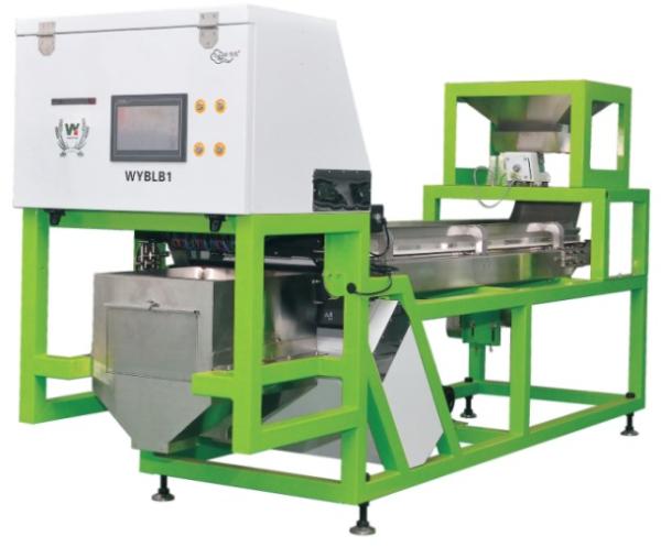 CCD Camera Optical Garlic Colour Sorting Peeling Garlic Removing Spotted Machine Walnut Garlic Cherry Coffee Color Sorter Machine with CE