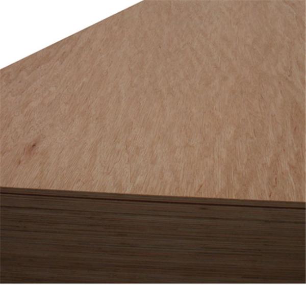 Furniture Making Wear Resistant 5mm Bintangor Plywood