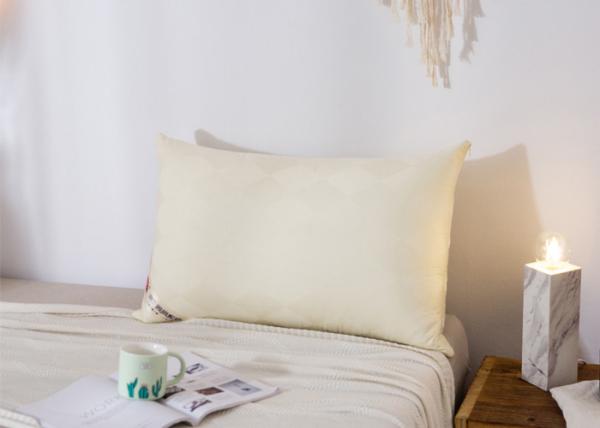 48*74cm Hypoallergenic Cotton Down Pillows