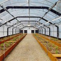 8x16m Agricultural Blackout Transmission Hothouse Automatic High Tunnel Greenhouse