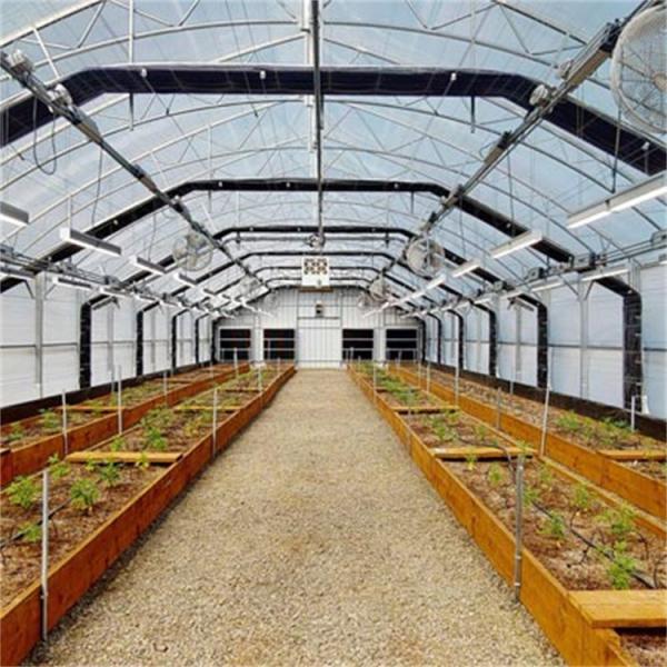 8x16m Aquecimento de energia agrícola Aquecedor de transmissão Aquecedor automático de túnel alto Aquecedor