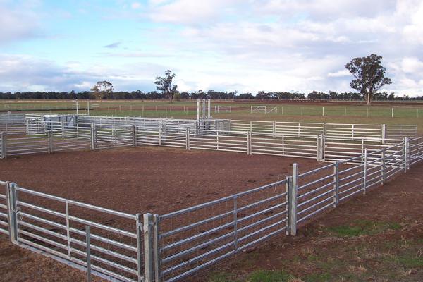 Cerca galvanizada 1.7m maioria Panels dos rebanhos animais do aço carbono, painéis portáteis da cabra