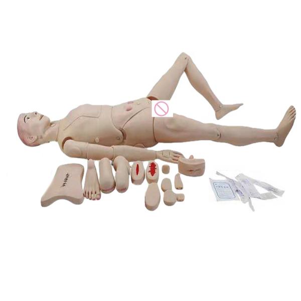 Gender-Specific Genital Mannequin for Medical Science Training Caregiver Edition