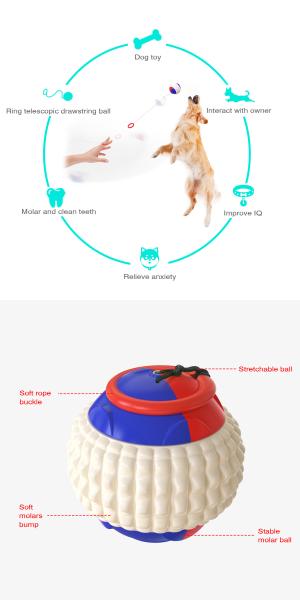 Hand Throwing Interactive Pet Toys Molar Teeth Dog Training Ball 80g OEM