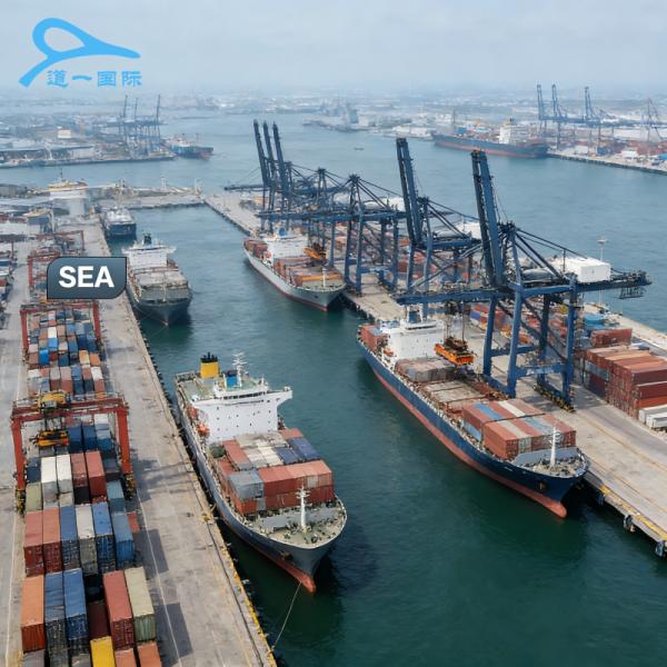 DDP Freight Forwarder Shipping Agent , Door To Door Freight Shipping From China To USA