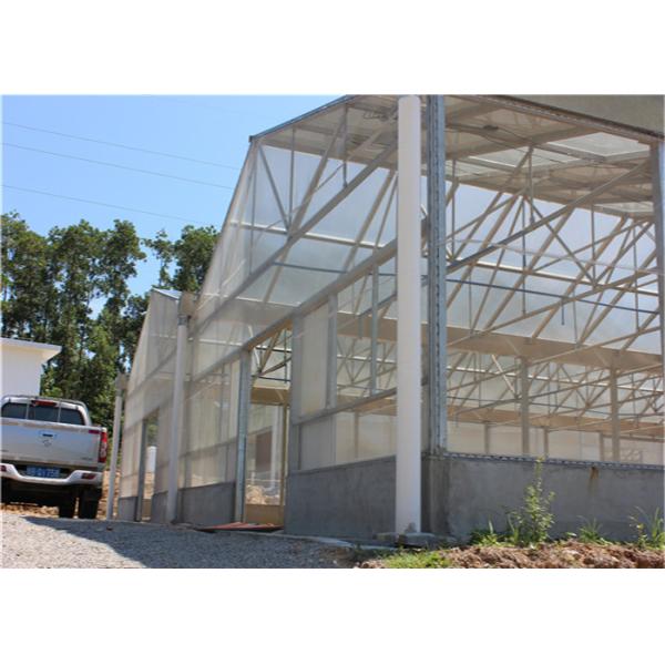 OEM Greenhouse Solar System PC Sheet Cover Thickness 2.0mm/2.5mm Length 4m