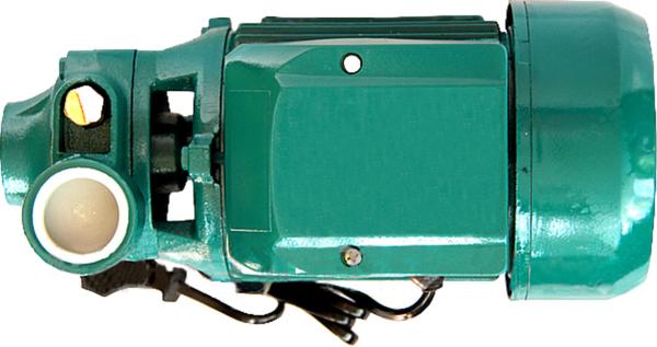 bomba de agua potável doméstica de 0.75HP 0.55KW para a associação que bombeia/polvilhar do jardim