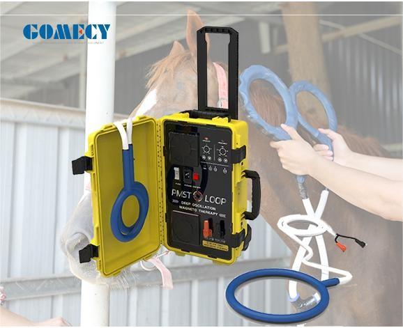 2024 Cavalo Humano 850W 12 Horas Tempo de Trabalho Magnetoterapia Pulsada Máquina de Terapia Magnética com Alta Intensidade Magnética