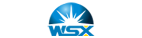 Shenzhen Worthing Technology Co., Ltd.