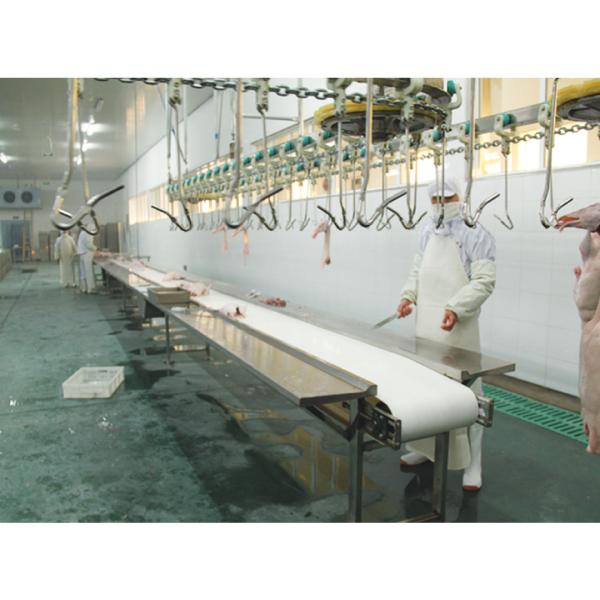 Customized Voltage Halal Poultry Slaughter Equipment for High Capacity Processing