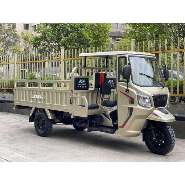 Задняя ось полный плавучий мотоцикл трехколесный груз для взрослых Роза золото корпус 168