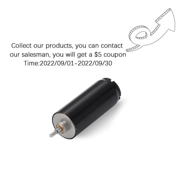 Faradyi Customized Coreless Brushless Dc Motor 12V Brushed 35Kg High Torque Coreless Motor 17Mm Ball Bearing With Wormgear
