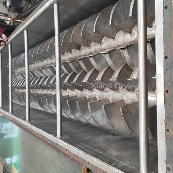 Food Processing Hollow Paddle Dryer Industrial Equipment Highly Efficient