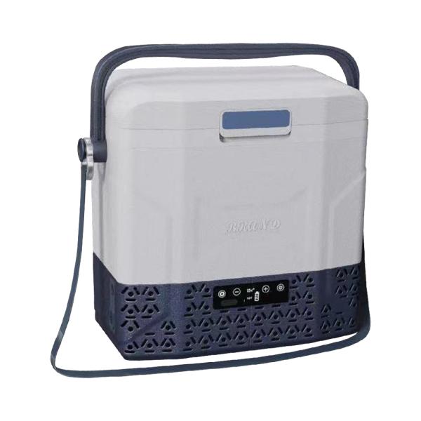 Réfrigérateur de voiture 12L vert/bleu/brun Réfrigérateur portable AC/DC pour voitures OEM françaises