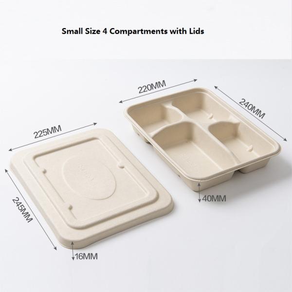 Коробка 4 бенто обеда пульпы сахарного тростника на вынос 5 устранимых отсека Biodegradable