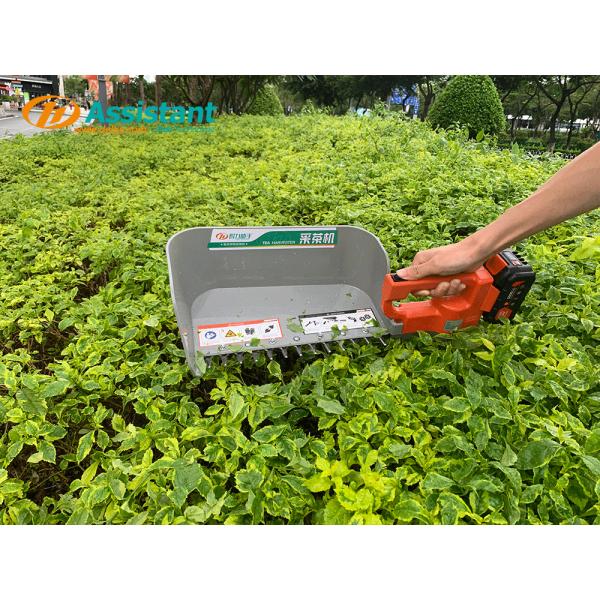 DL-4CD-35N Electric Tea Harvester for Full Auto and Automatic Green Tea Processing
