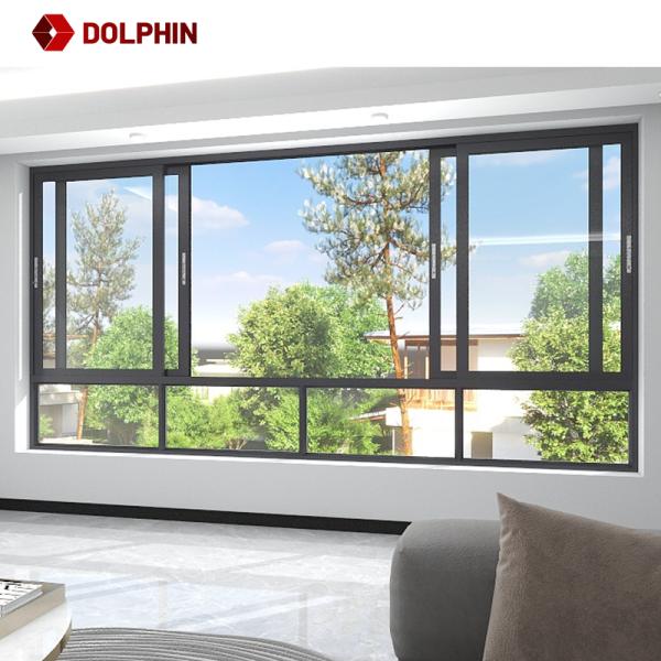 Раздвижная дверь ДЕЛЬФИНА внутренняя с дизайном сползая Windows сползая окна