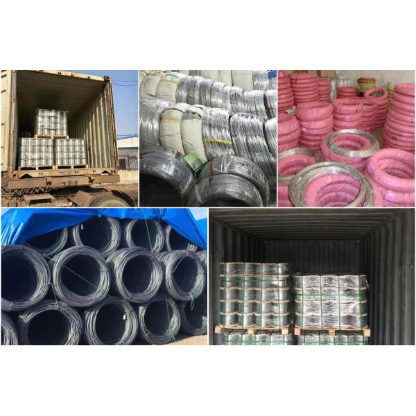Hot rolled Steel Wire Rod 5.5mm - 34mm Stainless Steel Wires