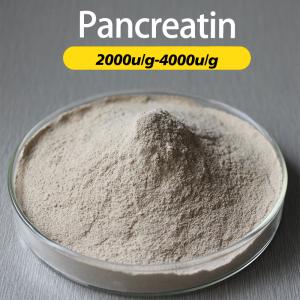 Enzyme pancréatine personnalisée de qualité alimentaire provenant du pancréas du
