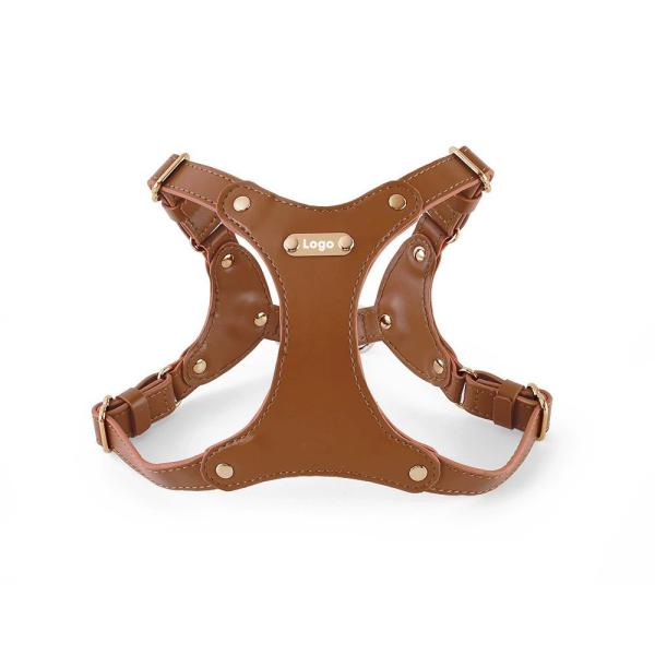 Hot Selling Other Pet Harnesses Pet Dog Leash Training Harness For Dogs