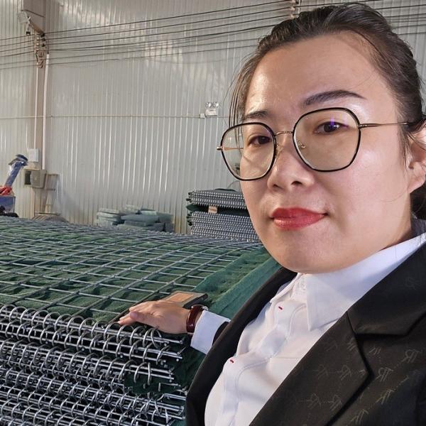 亜鉛メッキ軍事用バリヤー壁 275g 3m高