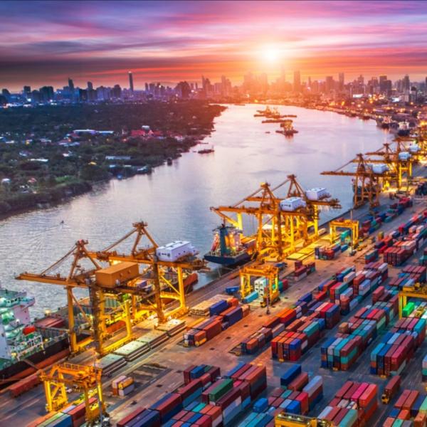 Передаточный платеж банка 20gp/40gp/40hq/45hq обслуживания доставки Fcl/Lcl Ddu