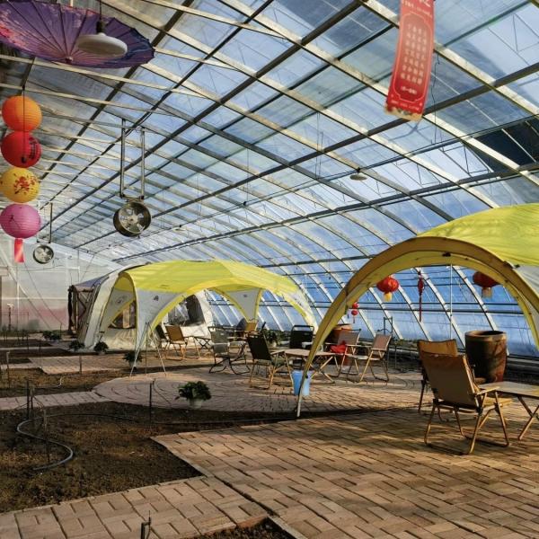 Estufas aquapônicas de telhado arqueado para irrigação de sol e plantação de flores