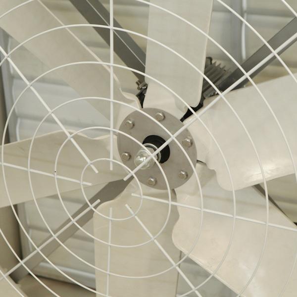 Poultry Farm Ventilation System Fiberglass Exhaust Fan  Cooling Frp Fans