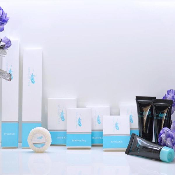 Eco Friendly Hotel Amenities Sets Customized To Meet Guest Needs