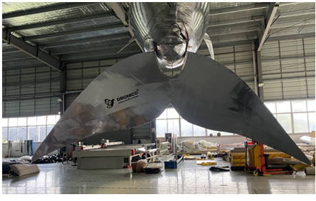 Inflatable Remote Control Air Film Whale And Dolphin Models For Mall Opening Events