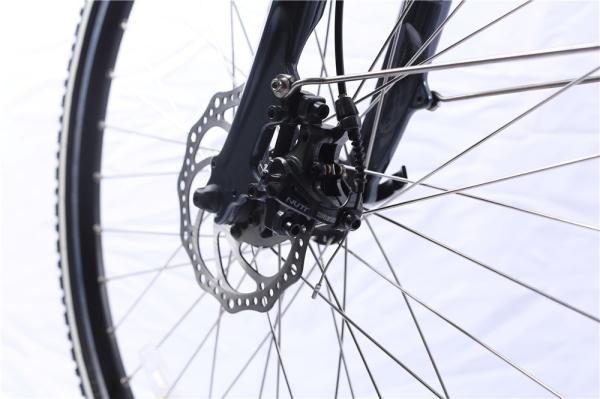 700C 28 Inch Classic City Electric Bike Dutch Lady Style 36V 250W Hub Motor Bicycle