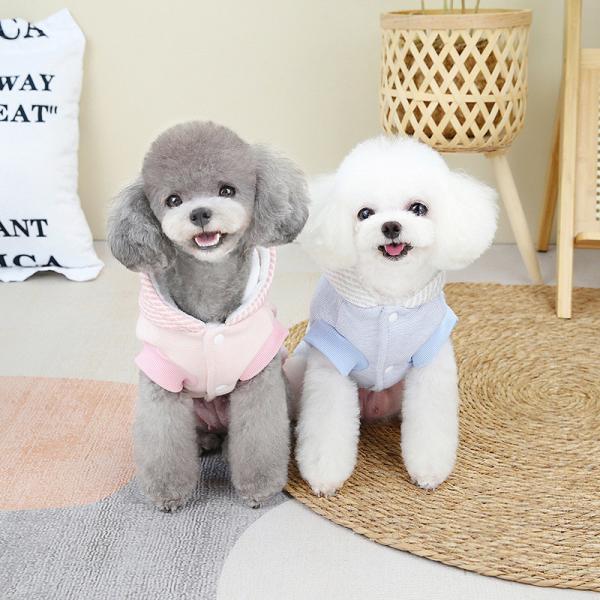 Roupas para cães e animais de estimação