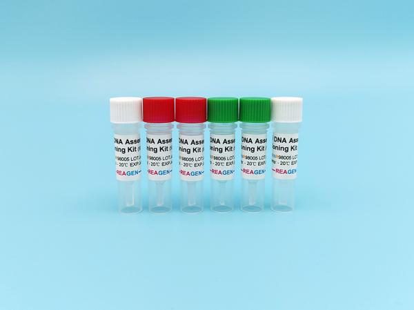 HiFi DNA Assembly Cloning Kit