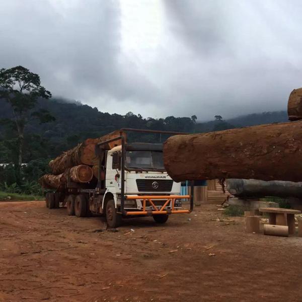 50T Tractor Truck for Heavy Duty Log and Timber Transportation in Forest Reserve