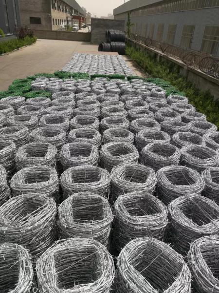 IOWA type barbed wire BWG12XBGW12/BWG14XBGW14/BWG12XBGW14 4 barb spacing 5 barb distance 1.5cm barb length