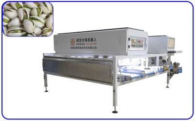 Classificador dos produtos agrícolas do canal do classificador 6 do pistache da inteligência artificial auto