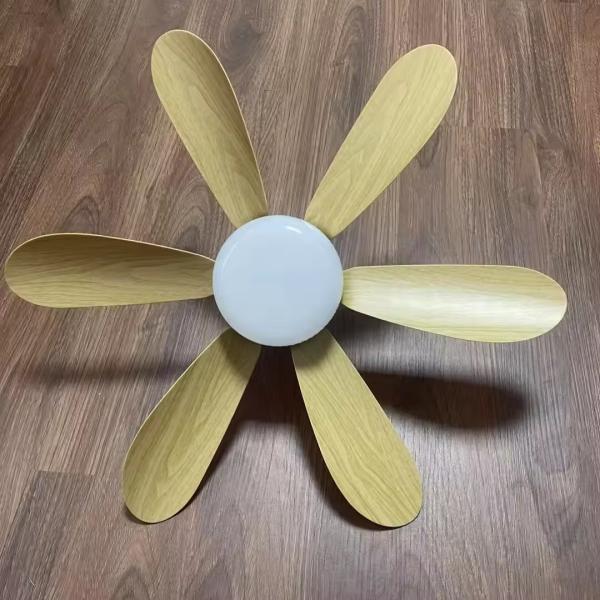 High Energy Efficiency LED Fan Ceiling Light with Not Specified