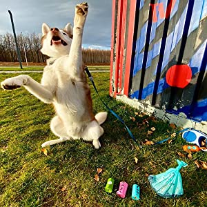 Plant-Based Dog Waste Bag | Home Compostable | Dispenser Refill Rolls | Unscented Leak Proof Poo Bags Eco Friendly bio