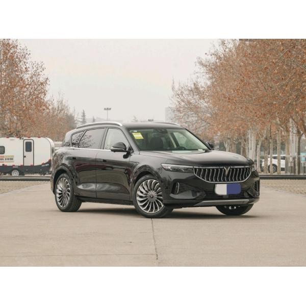 VOYAH Free Middle Large EV SUV NEDC 505km Range 360