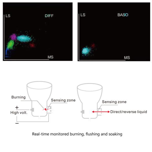 240V 60HZ Clinical Analytical Instruments Cell Counter Hematology Analyzer