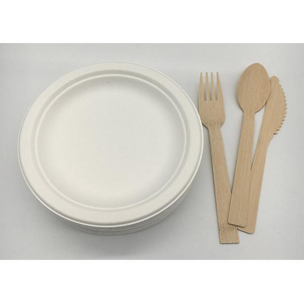 Biodegradable Disposable 6 inch sugarcane bagasse food Round Plates