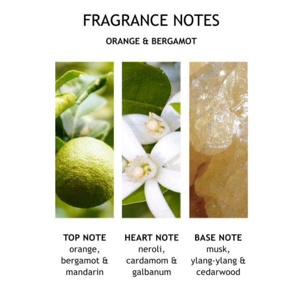 Wholesale home decor natural glass bottle essential oil aroma reed diffuser With Rattan Sticks