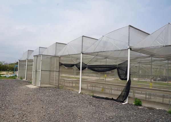 Systèmes de serre hydroponiques résistants à la pluie avec support galvanisé