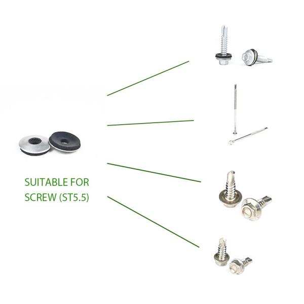 Customized Support Contact Customer Service for Stainless Steel EPDM Roofing Rubber Washer