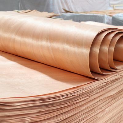 Composto Rotary Cut Wood Veneer, Personalize Core Poplar Wood Face Veneer