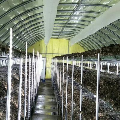 7-10 Meter Width Outdoor Mushroom Greenhouse With Insulating Blanket