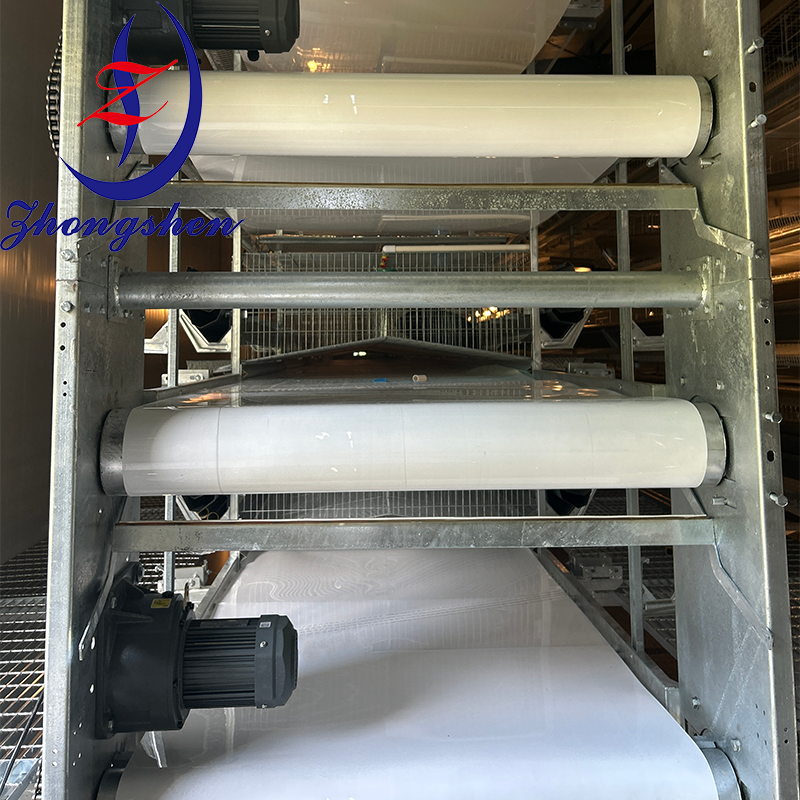 Personnalisation Ceintures de déshydratation de volaille en PP/PE de Zhongshen